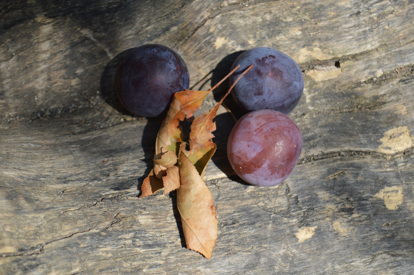 Spiced Plum