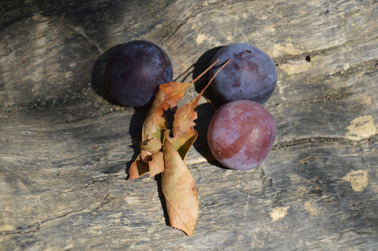 Spiced Plum